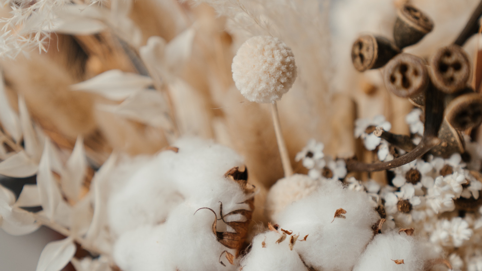 dried creativity flowers photo 